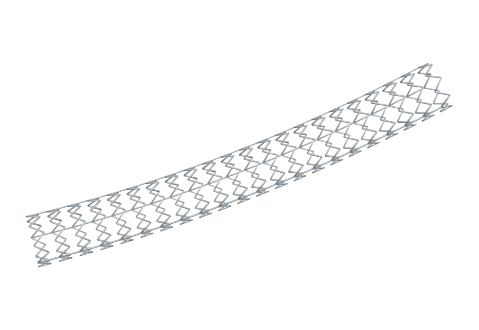 Stent scaffold