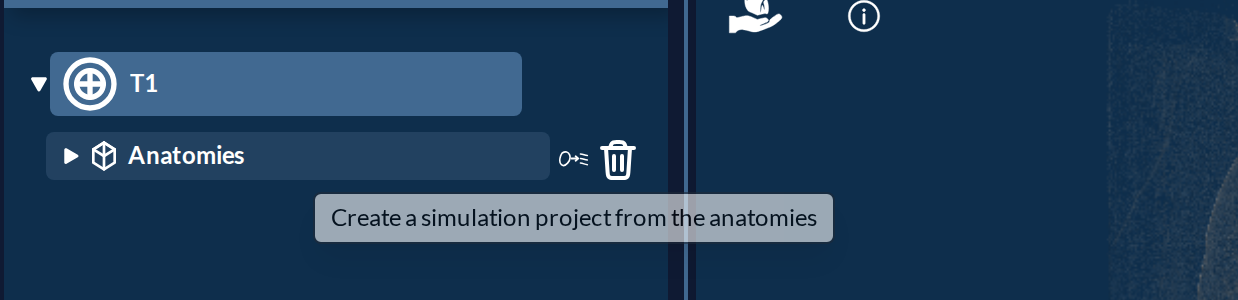 The action on the Anatomies category of the data tree