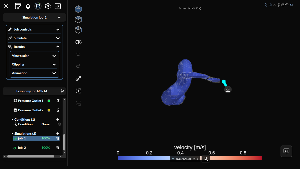 Results viewer — velocity field on aorta model with blue-to-red colorbar